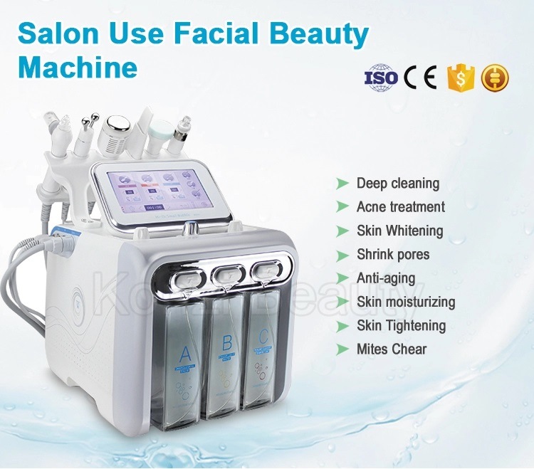 Facial Machine 6 in 1 H2O2 Water Oxygen Instrument