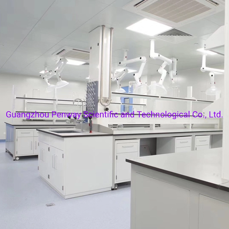 Professional DNA Lab Furniture Lab Equipment Supplier