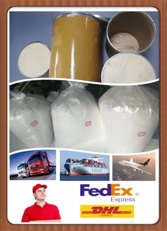 99% Assay High Purity Dienogest Chemical Pharmaceutical Chemical Powder with CAS 65928-58-7