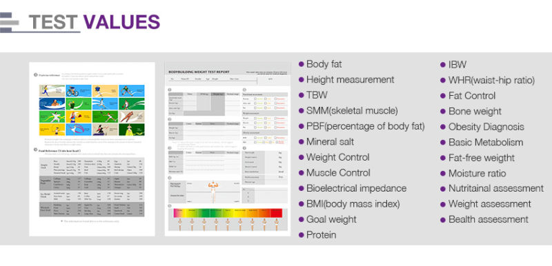 Human Body Composition Analyzer Inbody 520 Price Weight Height Body Analyser Machine GS6.5