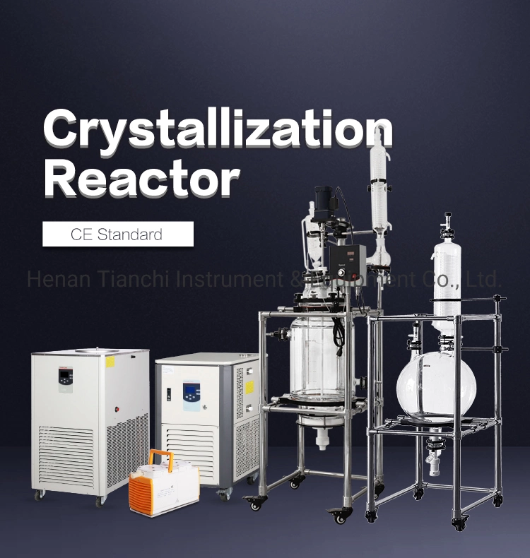 Concentration Instrument Jacketed Glass Reactor 30L for Chemical Equipment