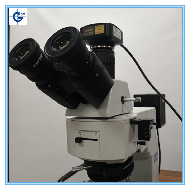 Lab Analysis Confocal Compound Metallographic Shd 32 Binocular Microscope