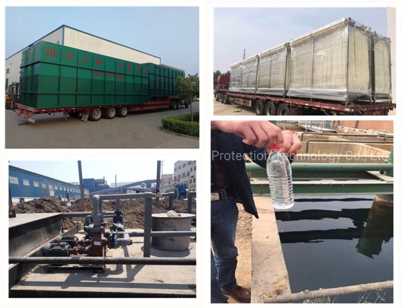 Wastewater Treatment Equipment STP for Daily Sewage Treatment