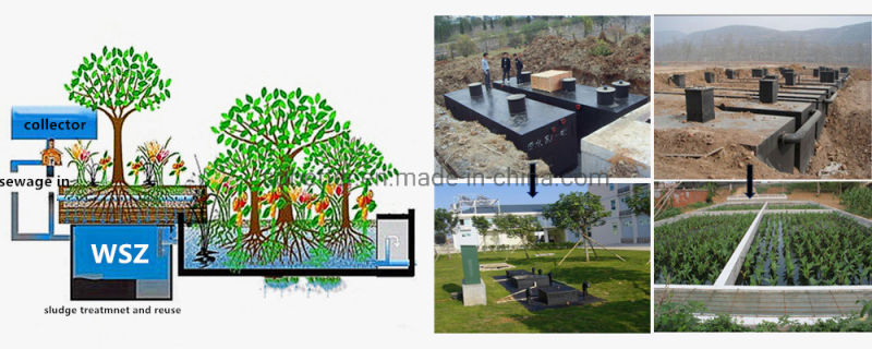 Wsz Series Sewage Treatment Domestic Industry Water Treatment System