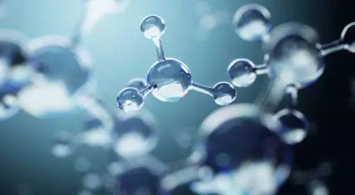 Boutique Cod Skin Collagen Peptide Manufacturer Qingdao