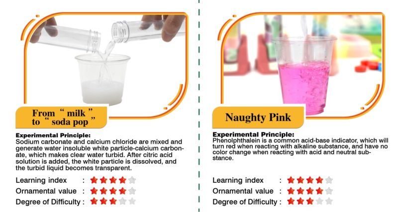 Amazing Chemical Reaction Experiment Eductional Toys for Kids