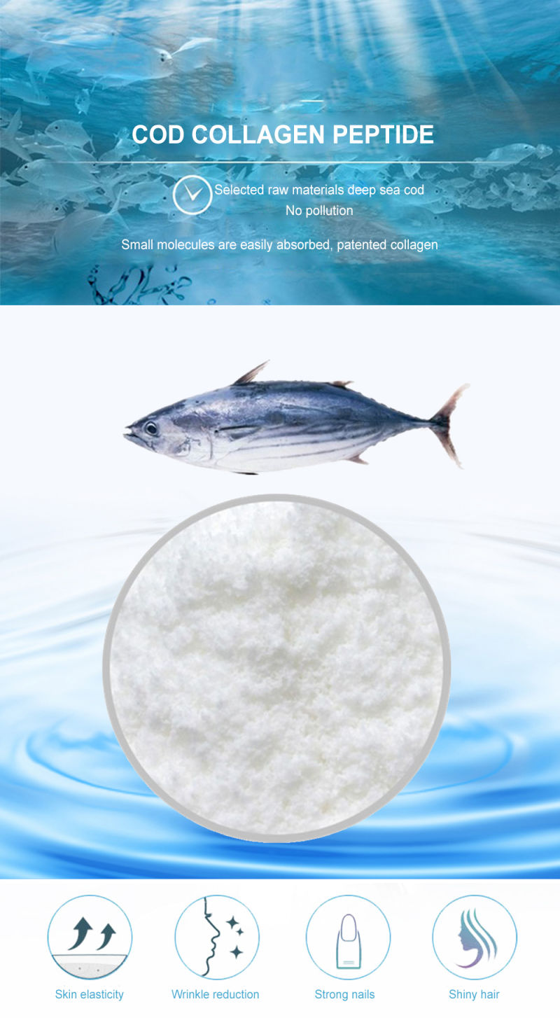 Cold Water Codfish Skin Collagen Peptide/ Fish Skin Collagen