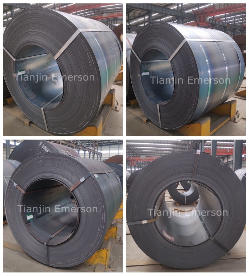 Ss400 Q235 Q345 Ms Sheet Metal Carbon Steel Plate Hot Rolled Alloy Steel Coil/Strip/Sheet