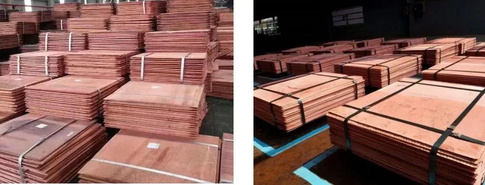 Factory Price 99.9% Pure Copper Cathode /Cathode Copper