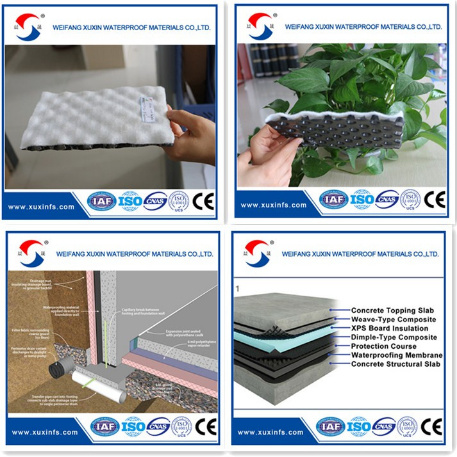 Waterproofing Drainage Sheet Plastic Dimple Drainage Board