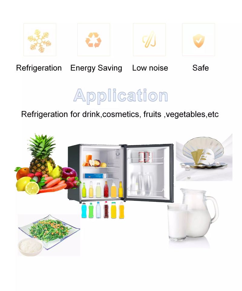 Home Appliances Mini Absorption Gas Electricity Refrigerator