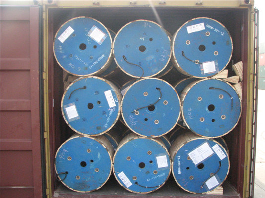 Copper Conductor XLPE Insulated Copper Tape Screened Cable