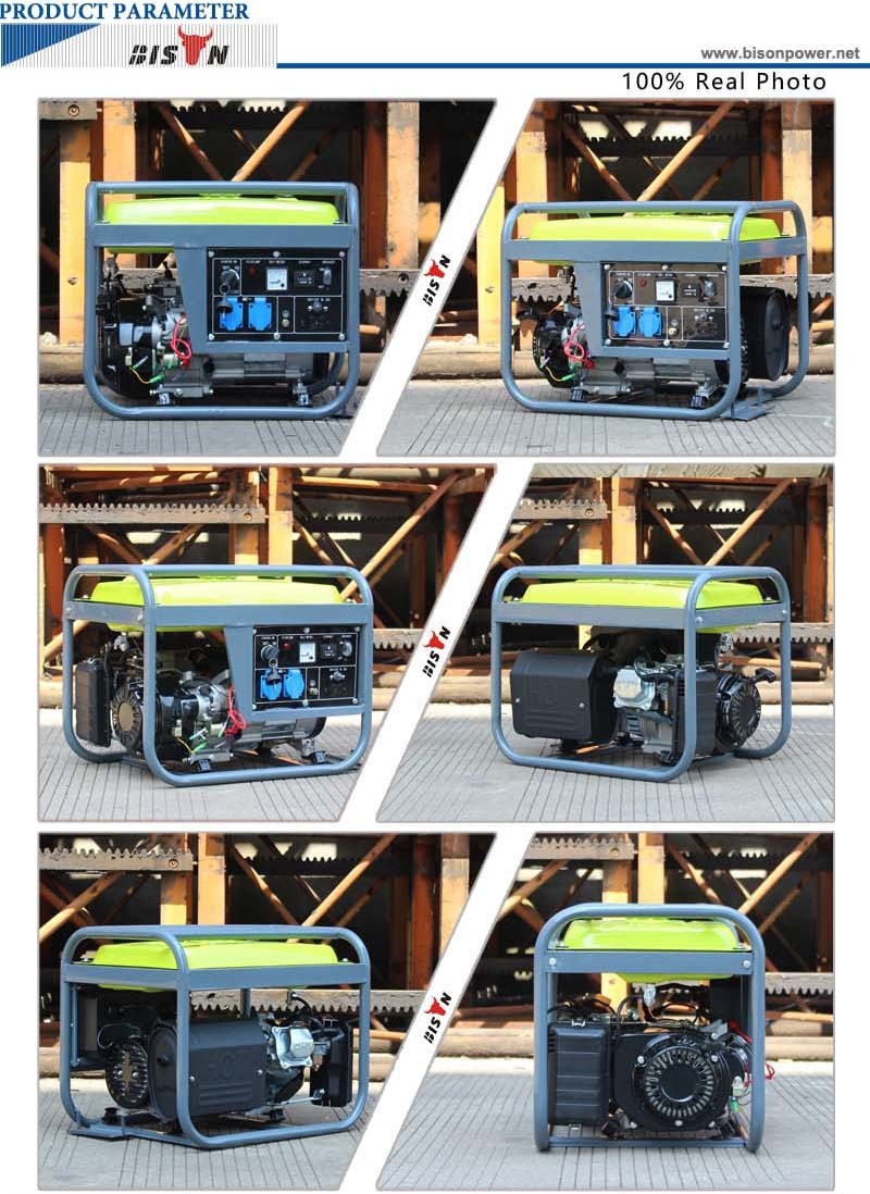 Bison (China) BS3000d (E) 2.8kw 2.8kVA Electirc Start Copper Wire Long Run Time 220 Volt Portable Generator