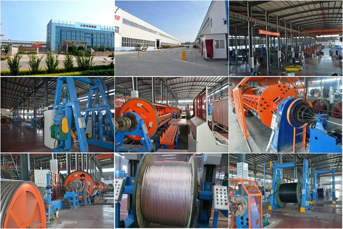 11kv Steel Wire Swa Armoured Copper Tape Screen XLPE PVC Insulated Copper Conductor Power Cable