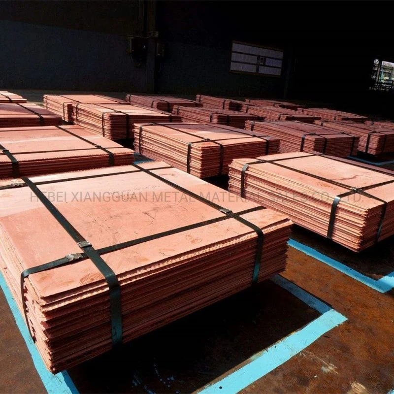 Factory Sale 99.99% Cu Copper Plate Cathode Copper Sheets Copper Rod Cathode in China