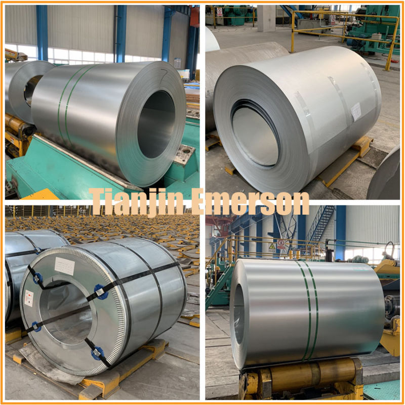 Ss400 Q235 Q345 Ms Sheet Metal Steel Plate /Hot Rolled Alloy Steel Coil/Coil/Strip/Sheet