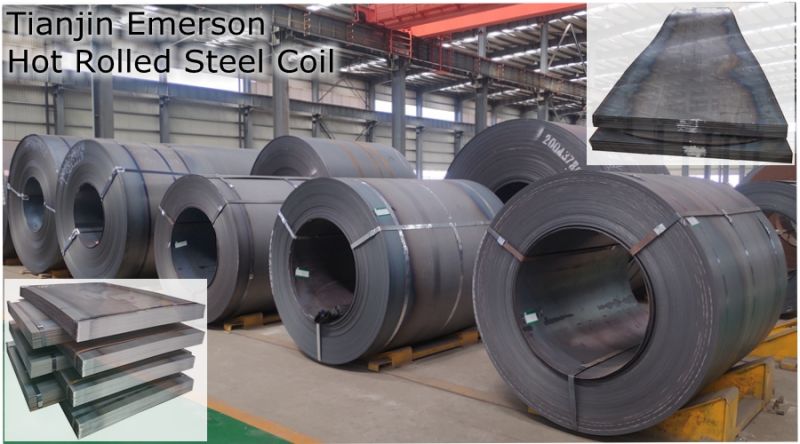 Ss400 Q235 Q345 Ms Sheet Metal Carbon Steel Plate Hot Rolled Alloy Steel Coil/Strip/Sheet