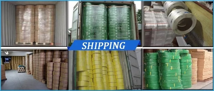 Extruded Polyester Strapping Belt on Plastic Reels, PP Strapping Band