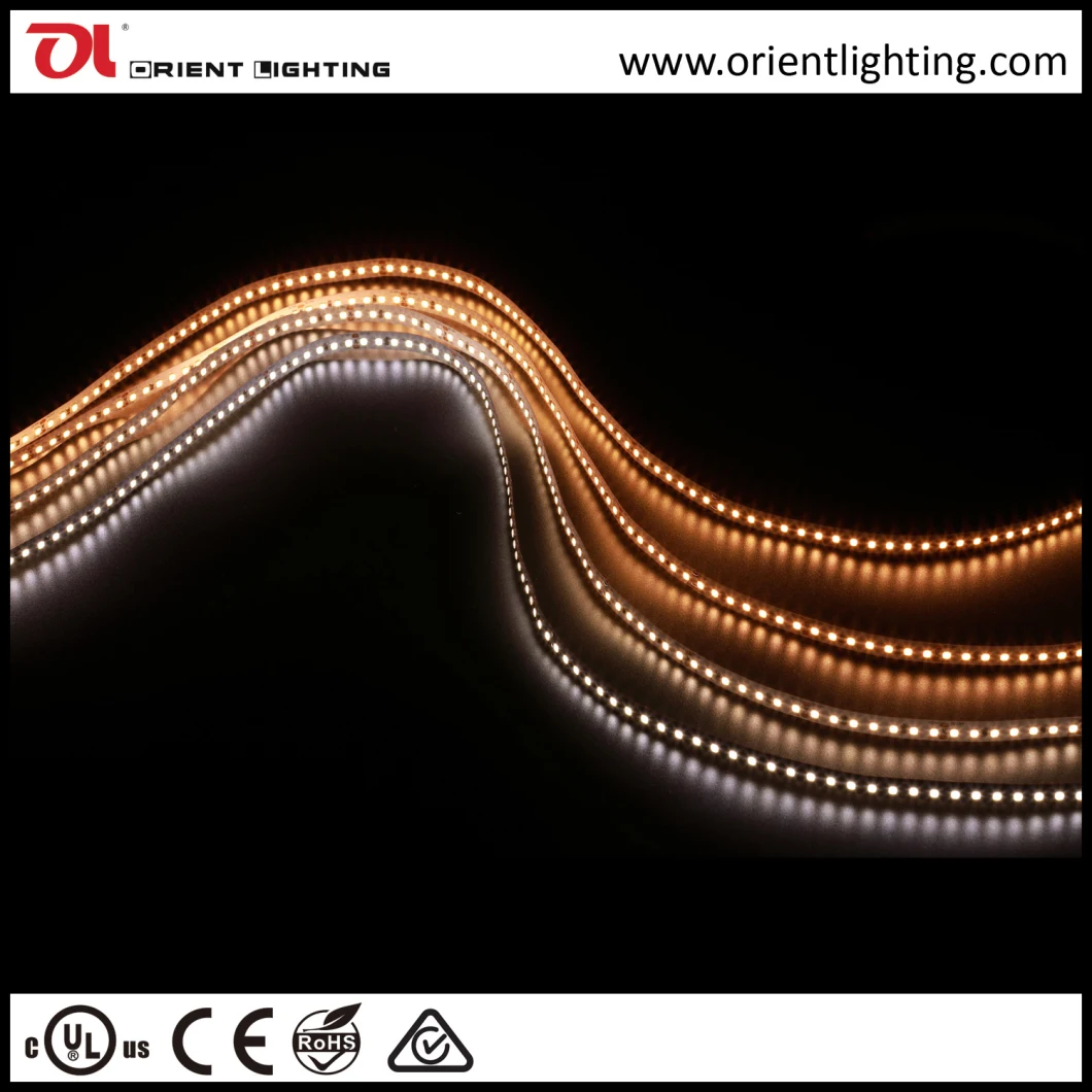 Decorative LED Light 300 LEDs/M LED Strip 2216 LED Strip