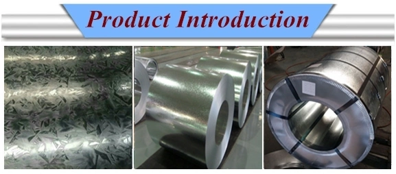 Galvanized Steel Strip Coil Steel Strip Galvanized Steel Coil