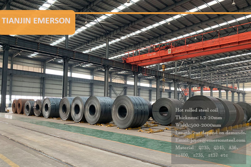 Ms Sheet Metal Hot Rolled Steel Plate Steel/Alloy Steel Plate/Coil/Strip/Sheet Ss400, Q235, Q345