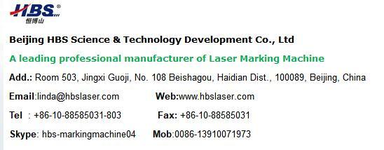 800W High Precision Laser Cutting Machine for Metal/Stainless Steel/Copper/Aluminum