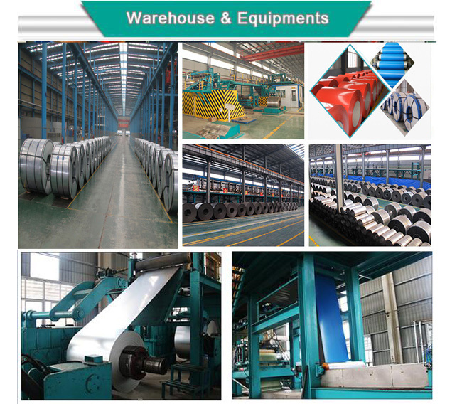 China Dipped Galvanized Gi Coil Cold Coated Steel Strips