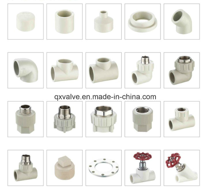 New PPR Fittings Series Copper Female Couping Blue, White, Green, Gray