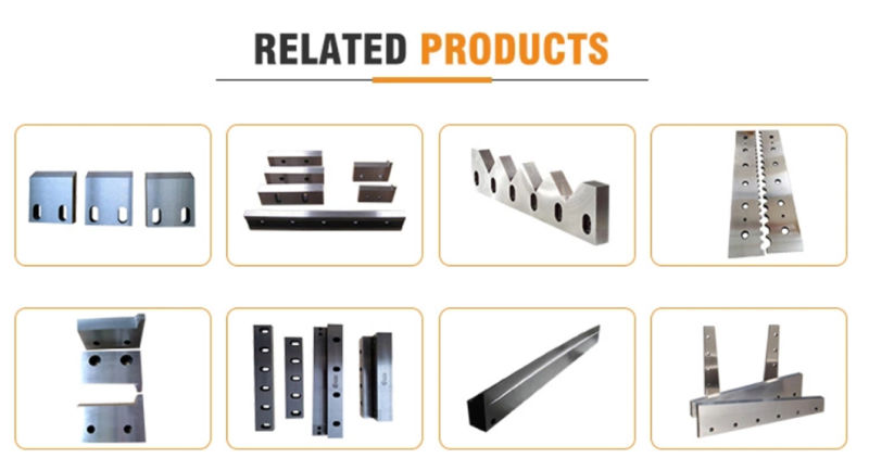 Iron and Steel Enterprises in The Thick Plate Steel Blade