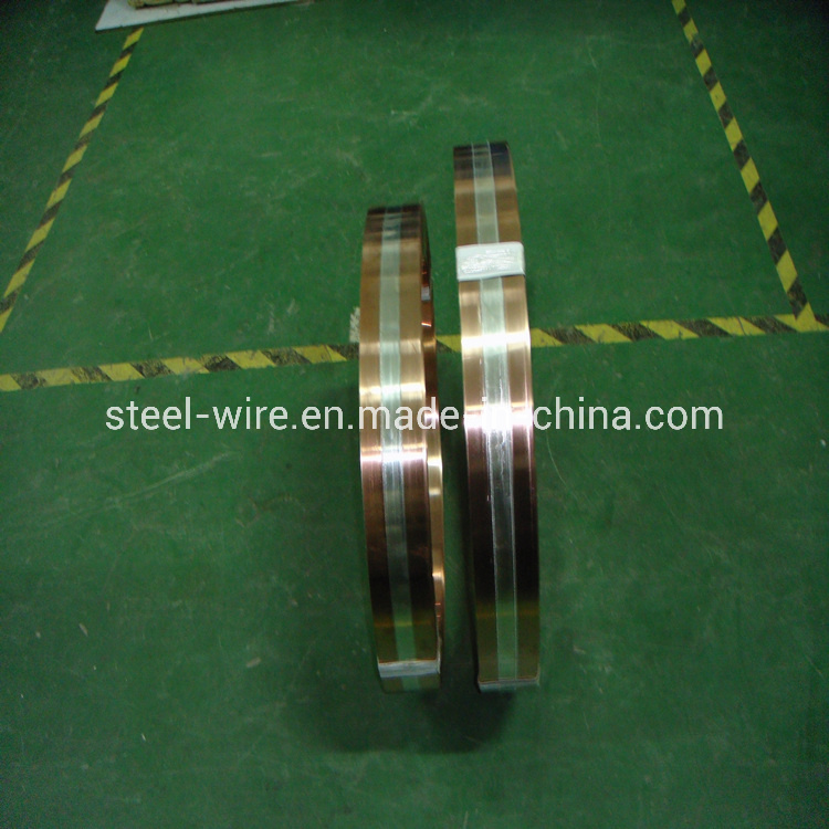 Aluminum Clad Strip Titanium Silver Inlay Copper Strip