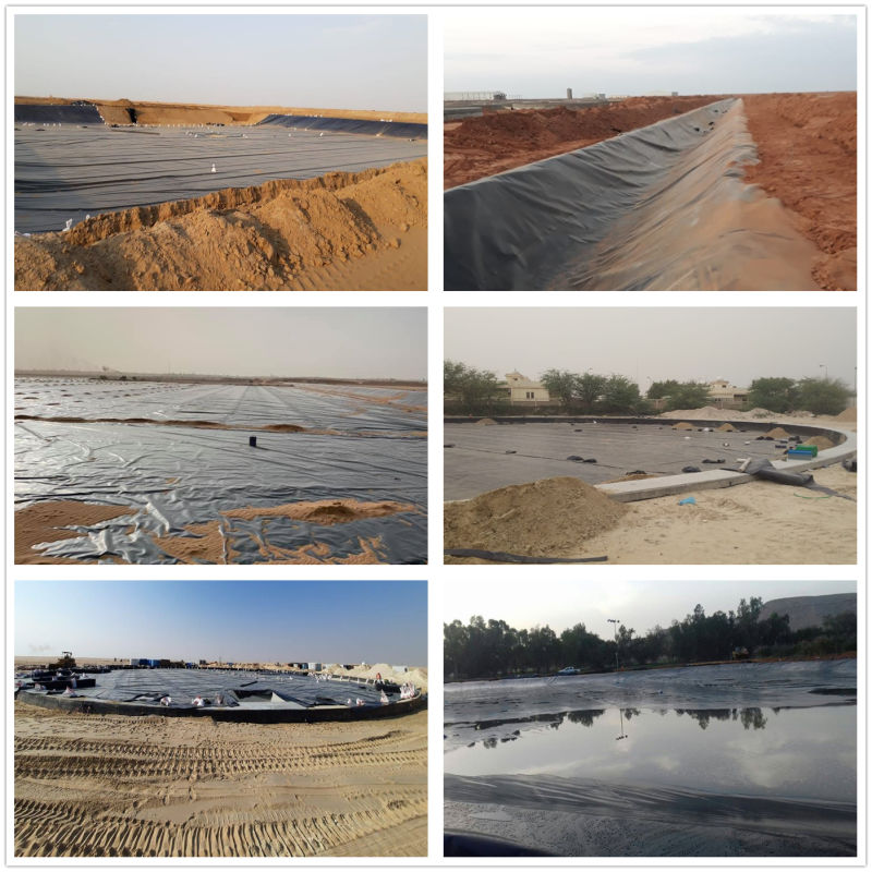 HDPE Liners for Sludge Drying Beds and Soil Beds