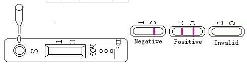 Self Diagnostic Instruments for HCG Pregnancy Test Strip 3mm