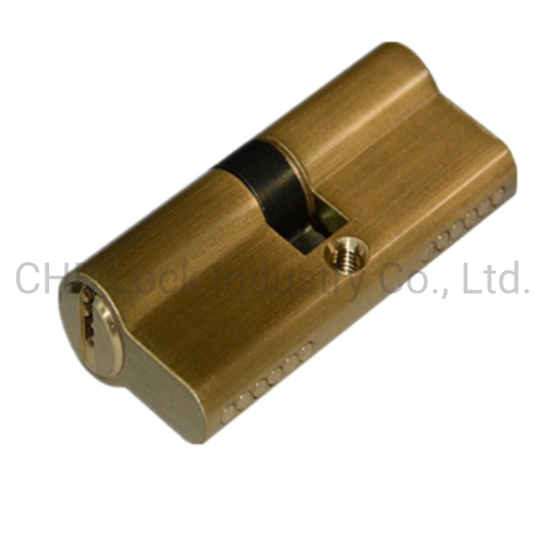 Brass Cylinder Lock for Doors (LCC-C106)