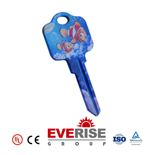 2mm Brass Key for Door