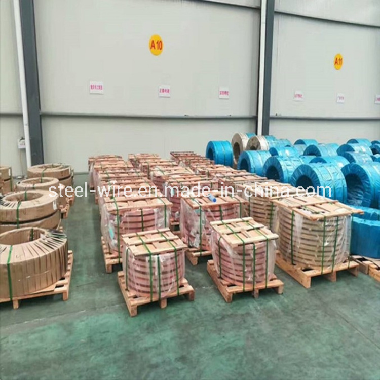 316 C10200 Staninless Steel Coil Copper Clad Steel Strips