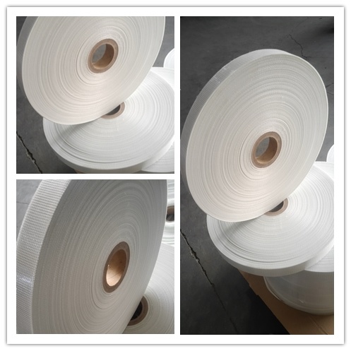 55GSM Fiberglass Mesh with 12um Pet for Special Building Materials