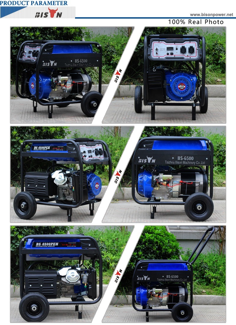 Bison (China) Factory Price BS5500 4kw 4000W 4kVA Copper Wire AC Single Phase Portable 13HP Gasoline Generator Air Cooled