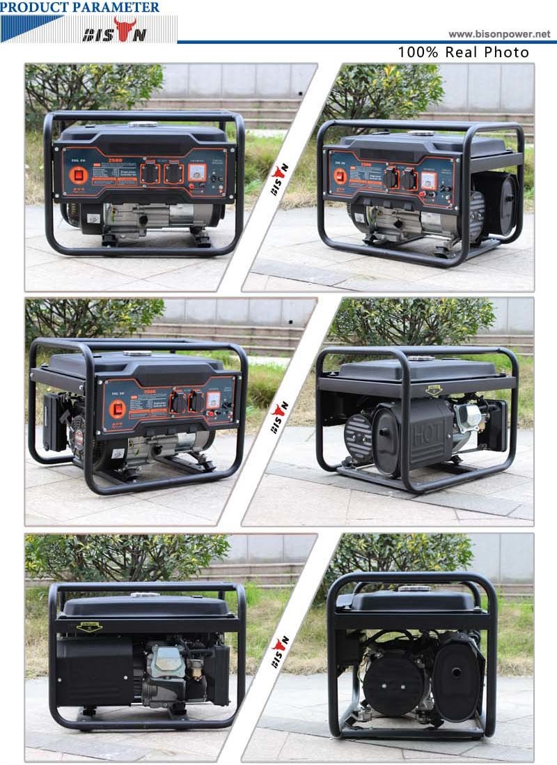 Bison (China) BS2500m 2kw 2000W 2kVA Copper Wire 1 Year Warranty Chinese Power Generator From Experienced Supplier