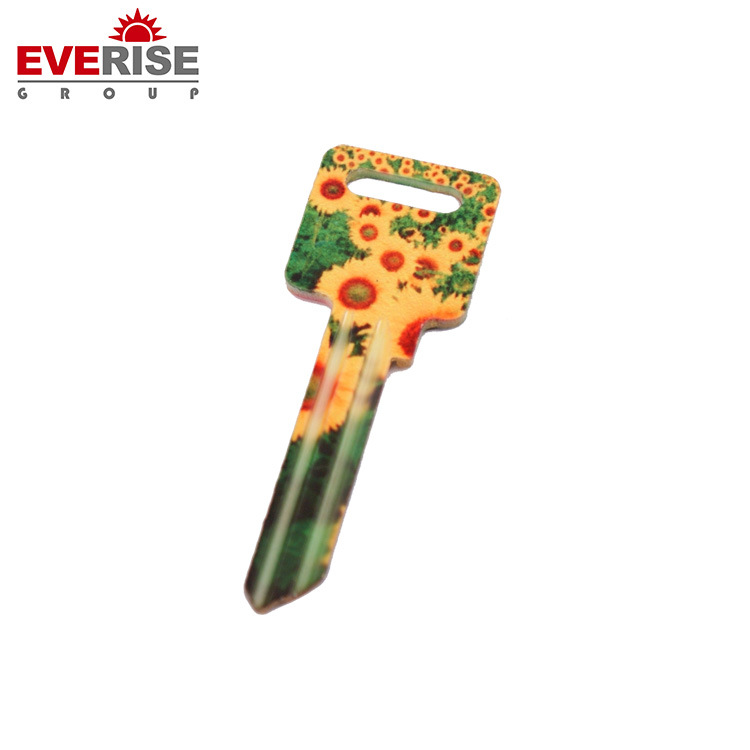 2mm Brass Key for Door