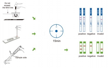 HCG Pregnancy Test Kit/Urine Pregnancy Test Strip Cassette