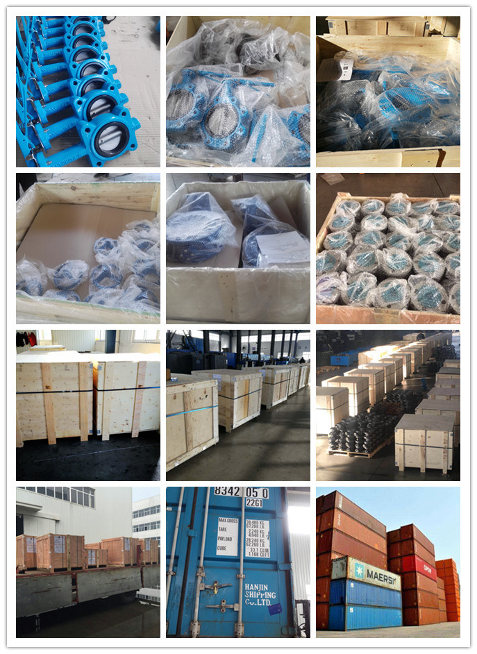 Ductile Iron Body Handle Rubber Lining Wafer Butterfly Valve