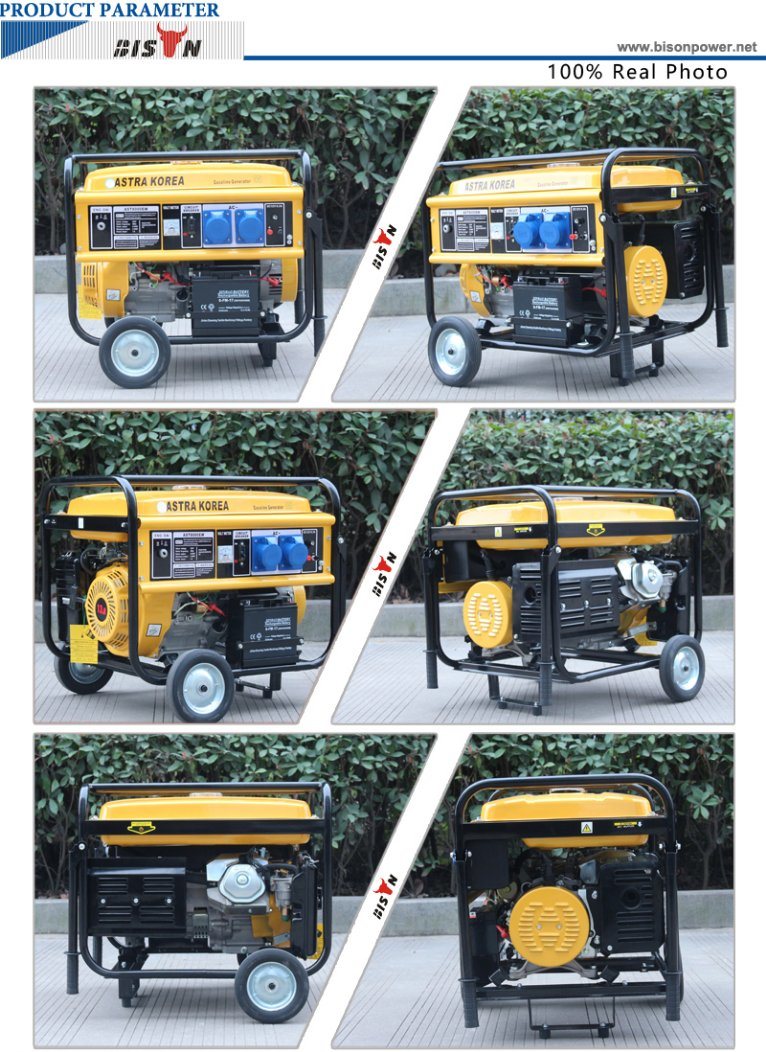 Bison (China) BS5500h (H) 4kw 4kv 4000W Air-Cooled Copper Wire Household Standby Portable Generator Gasoline