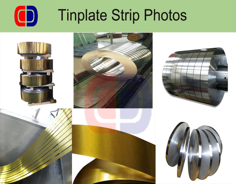 SPCC Mr 12-600mm Width Tin Plate Steel Strip