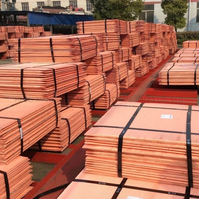 Factory Sale 99.99% Cu Copper Plate Cathode Copper Sheets Copper Rod Cathode in China