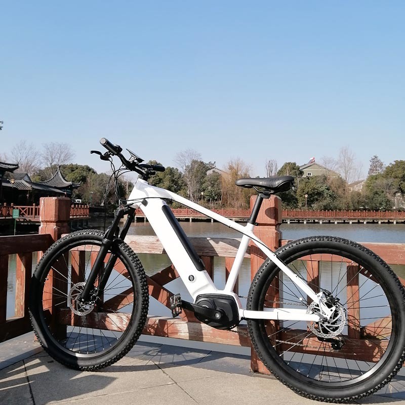 MID Drive Electric Bicycle Electric Bike Electric Snow Bike Mountain Bicycle