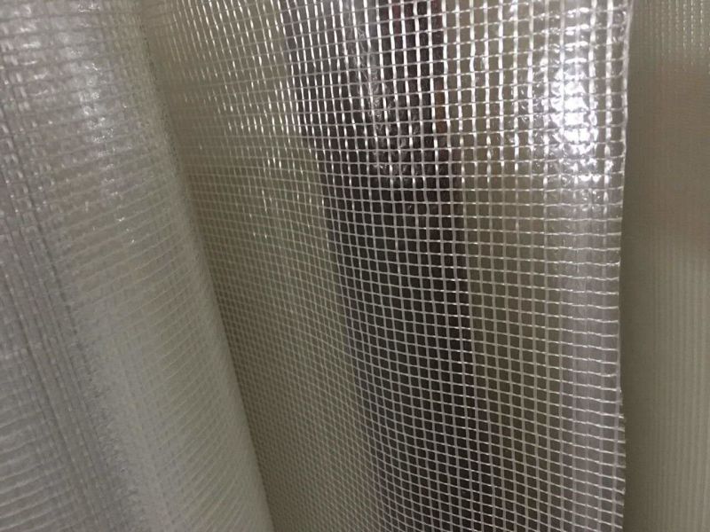 55GSM Fiberglass Mesh with 12um Pet for Special Building Materials