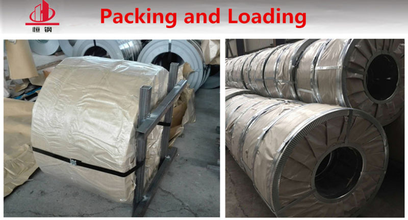 Building Material 0.25mm Hot Dipped Galvalized Strip/Strapping Coil Price