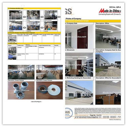 DIN Standard PVC Blank Flange with Copper Screw