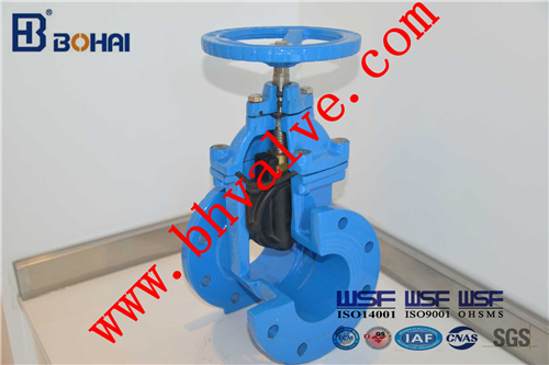 Ductile Iron/Stainless Steel Non Rising Resilient Seat Gate Valve