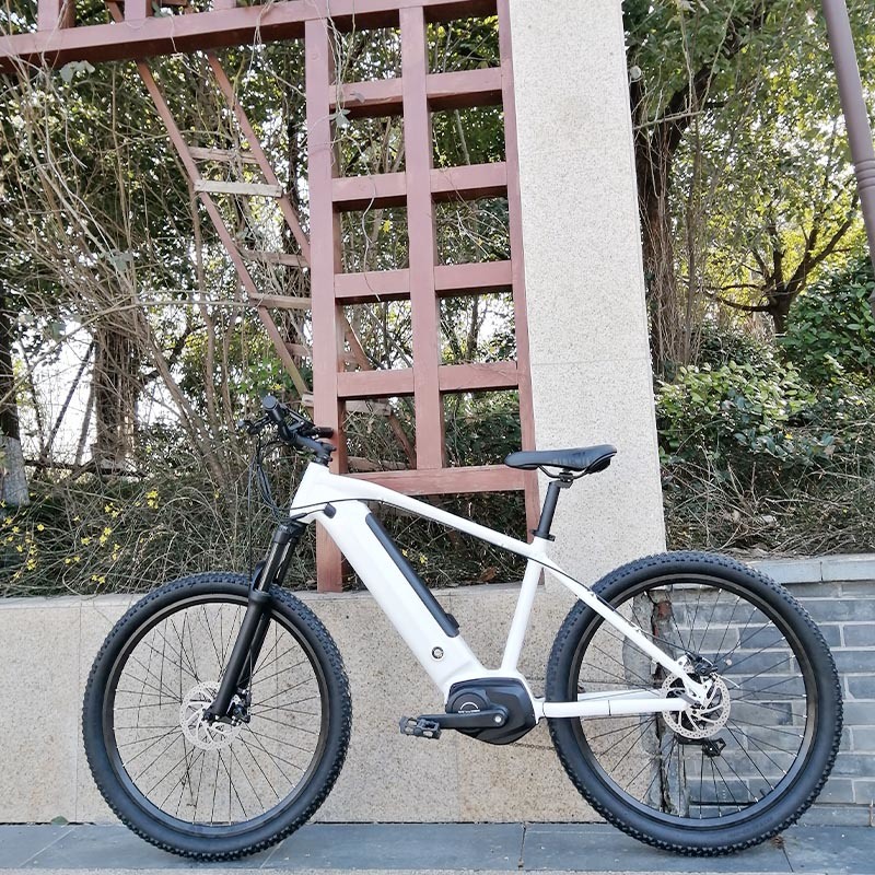 MID Drive Electric Bicycle Electric Bike Electric Snow Bike Mountain Bicycle